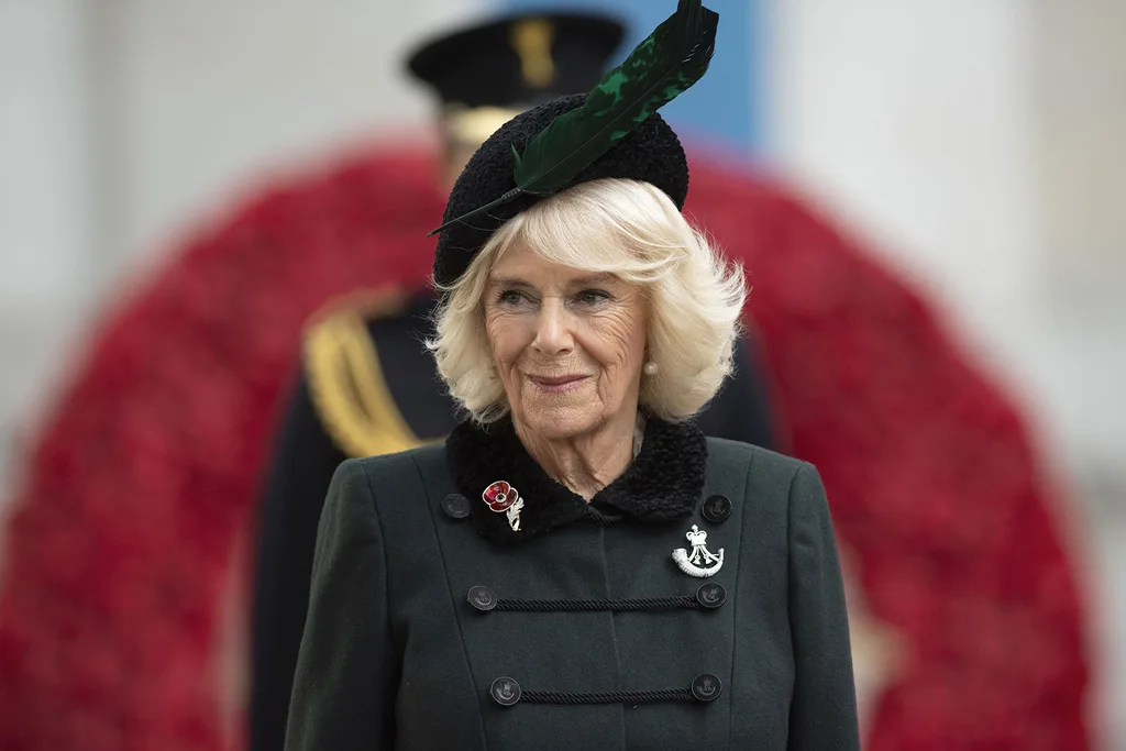 Prince Harry replaced by Duchess Camilla