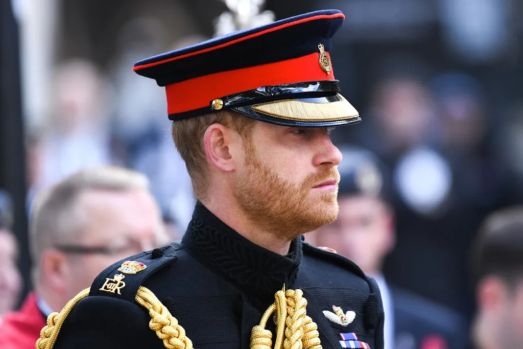 Prince Harry replaced by Duchess Camilla