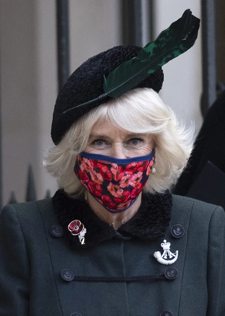 Prince Harry replaced by Duchess Camilla