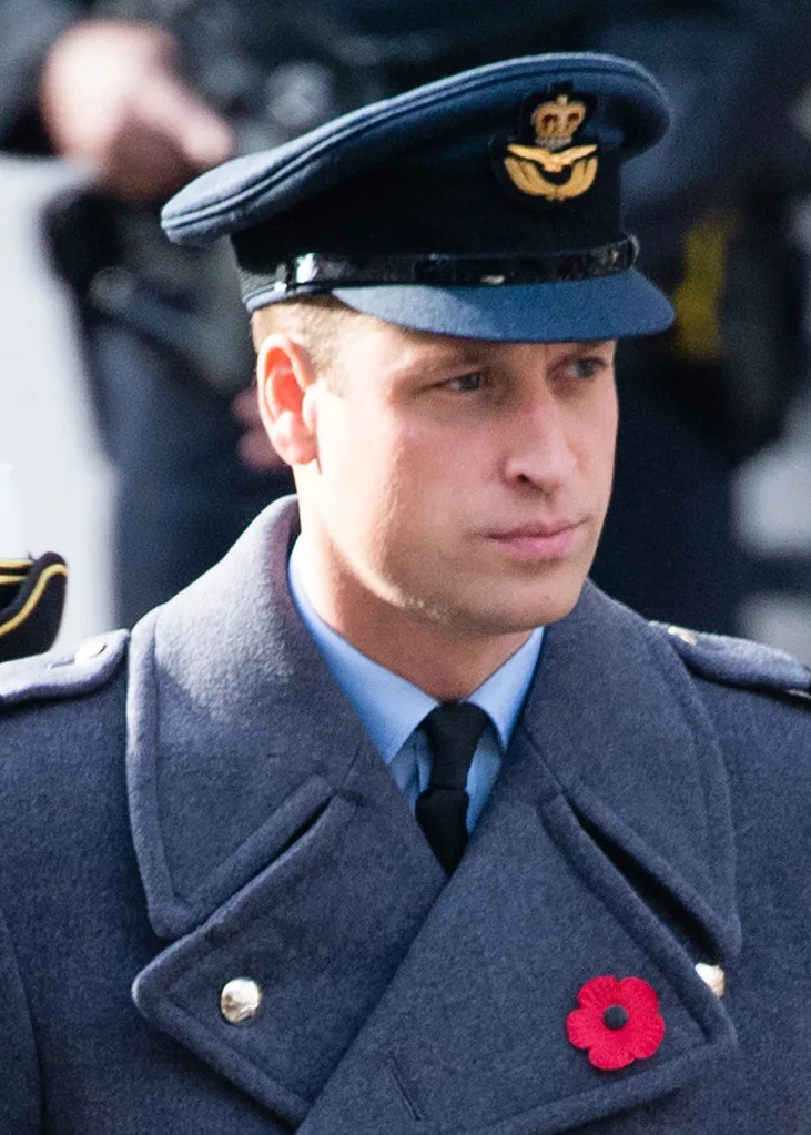 Prince William abdicate the queen