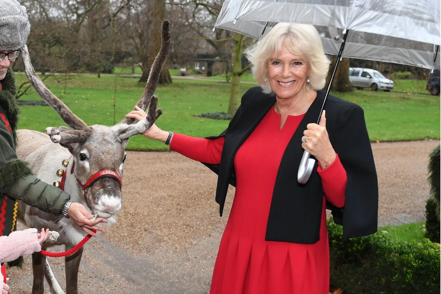 queen camilla with a reindeer