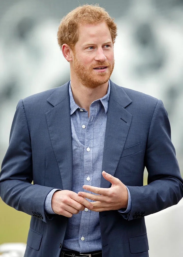 Prince Harry praise charity work