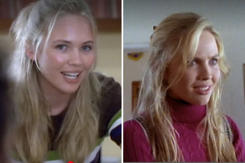 heartbreak high anita