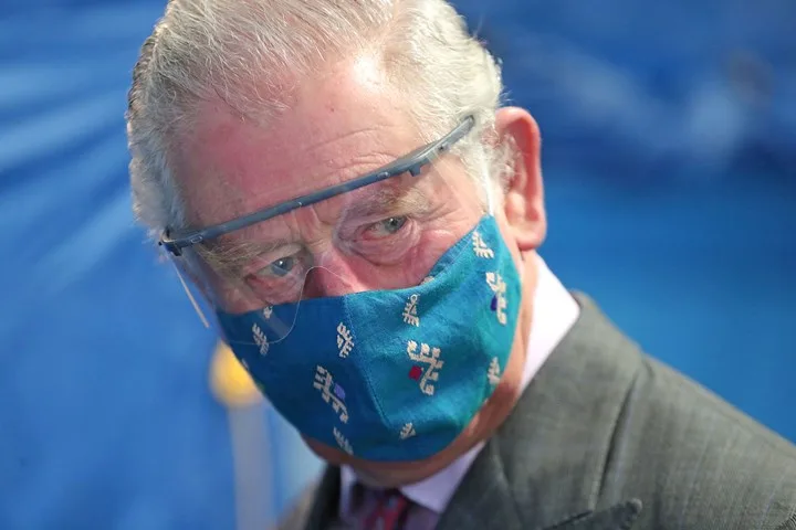 Prince Charles mask