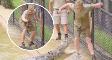 Robert Irwin’s TERRIFYING near-miss
