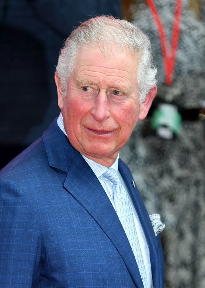 Prince Harry Archewell Charles snub