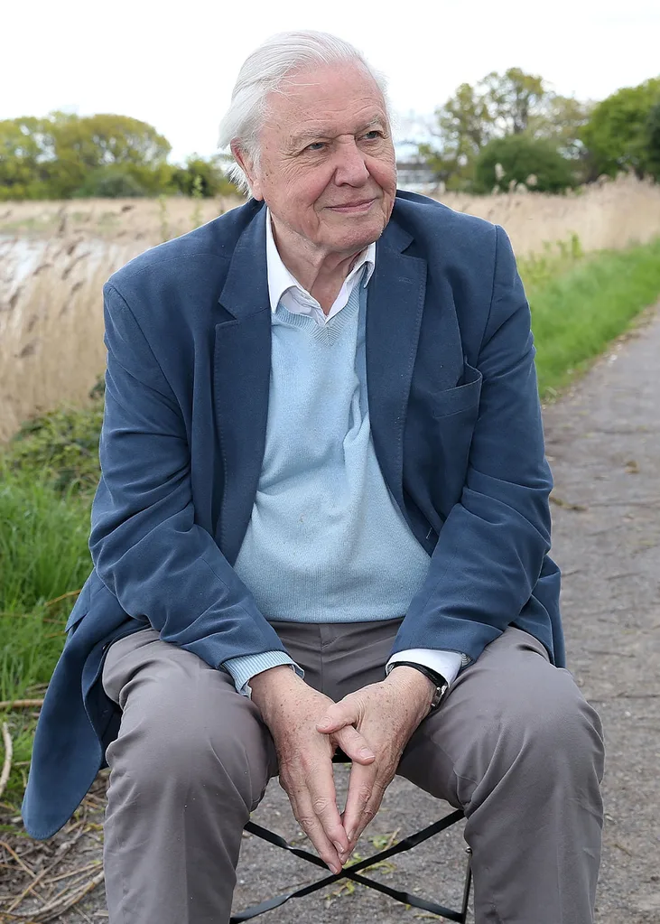 David Attenborough royal family warning