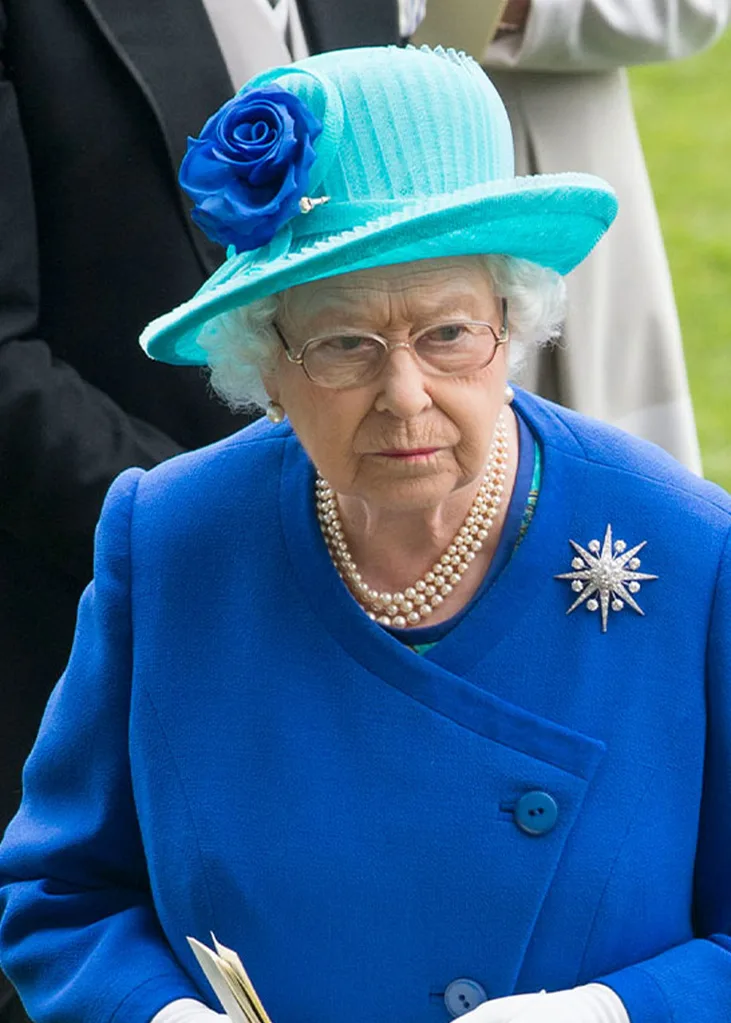 Meghan revenge