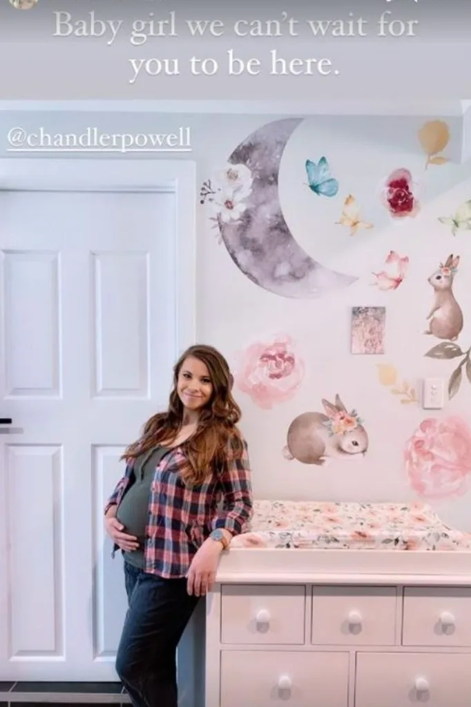 Bindi Irwin baby nursery