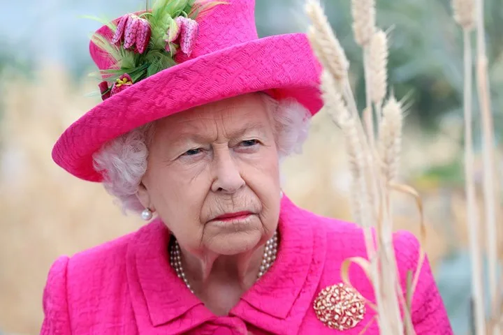 Prince Harry labelled arrogant over military titles
