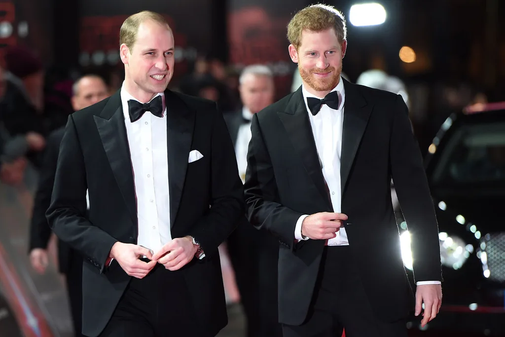 Prince Harry labelled arrogant over military titles