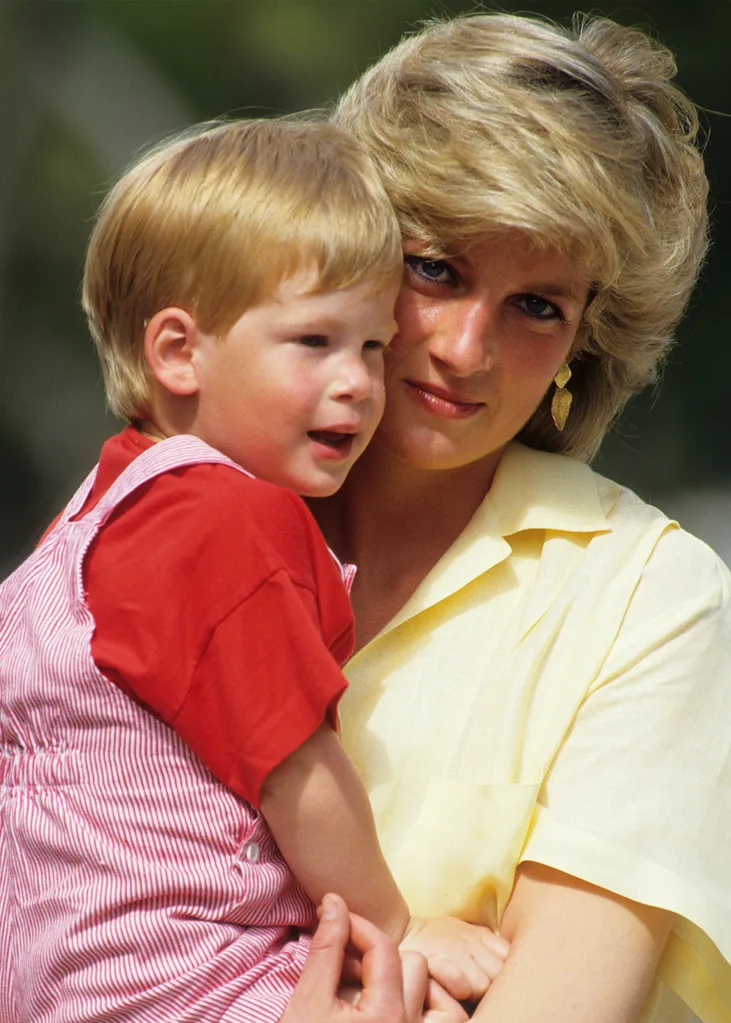princess diana prince harry