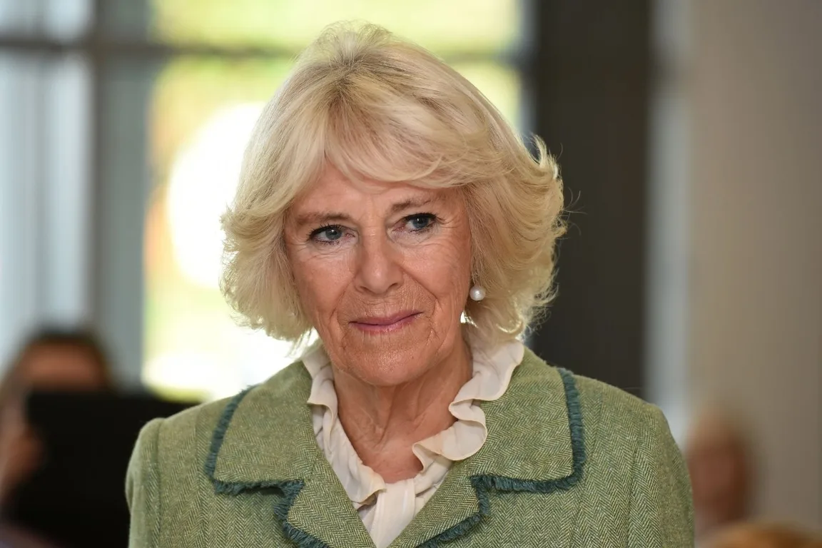 Duchess Camilla accused of being palace LEAK! New Idea