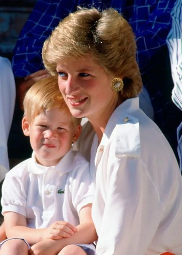 Princess Diana Prince Harry