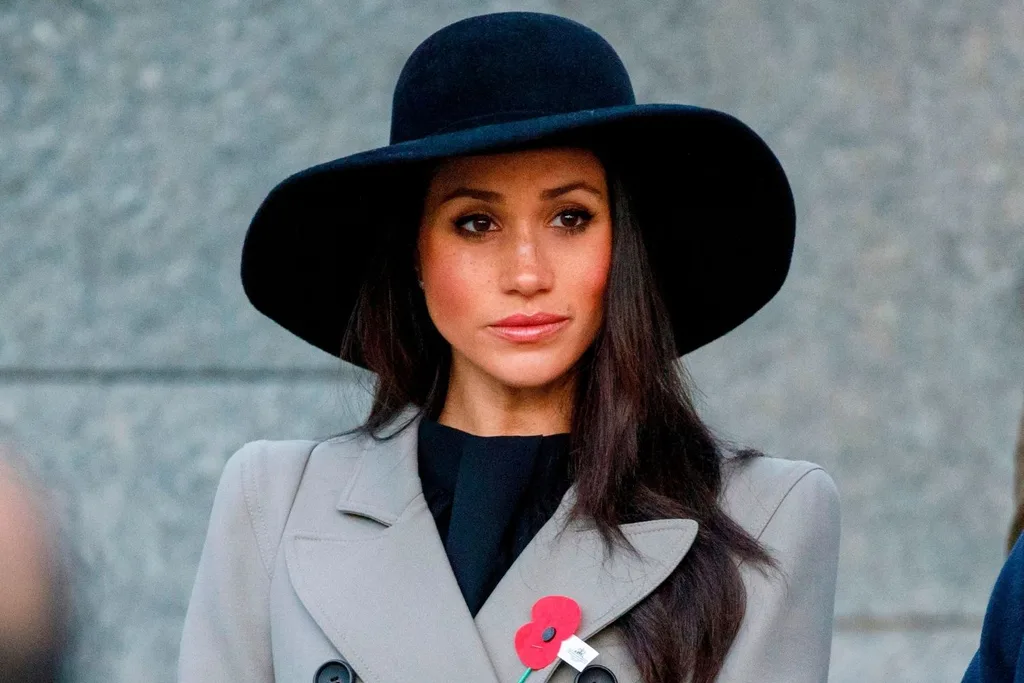 meghan markle private investigator