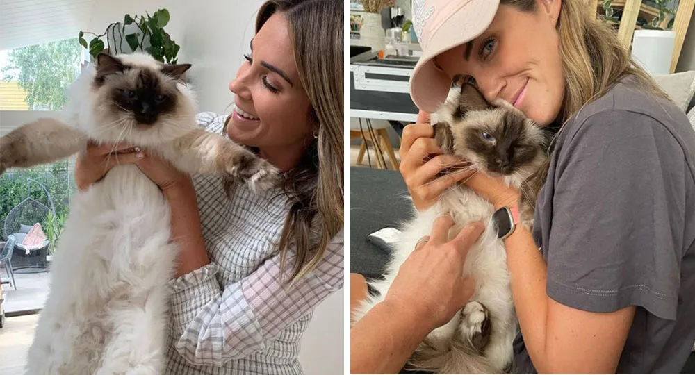 Georgia Love cat missing Pawdrey Hepburn