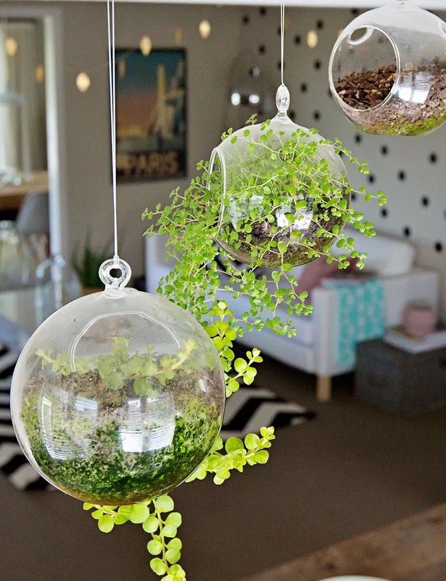 1960s-reno-hanging-planters