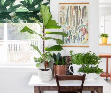 Then and now: Kirsty’s dining space