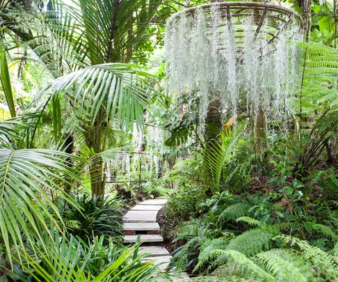 GDN-thorburn-walkway