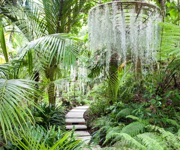 GDN-thorburn-walkway