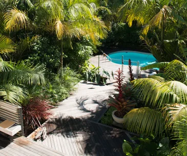 A lush garden with no lawn
