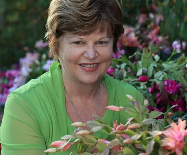 How to maintain your garden in January