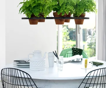 Small indoor gardens