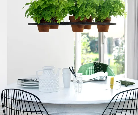Small indoor gardens