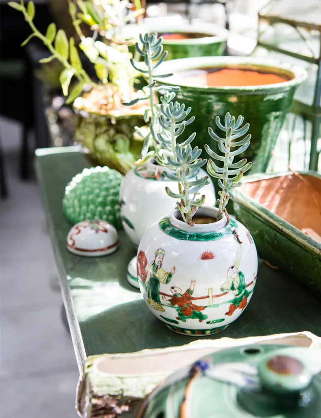 GDN-thorburn-ceramic-planters