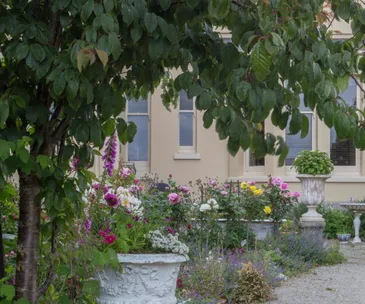 A rose-filled garden in an old bank in Eltham, Taranaki