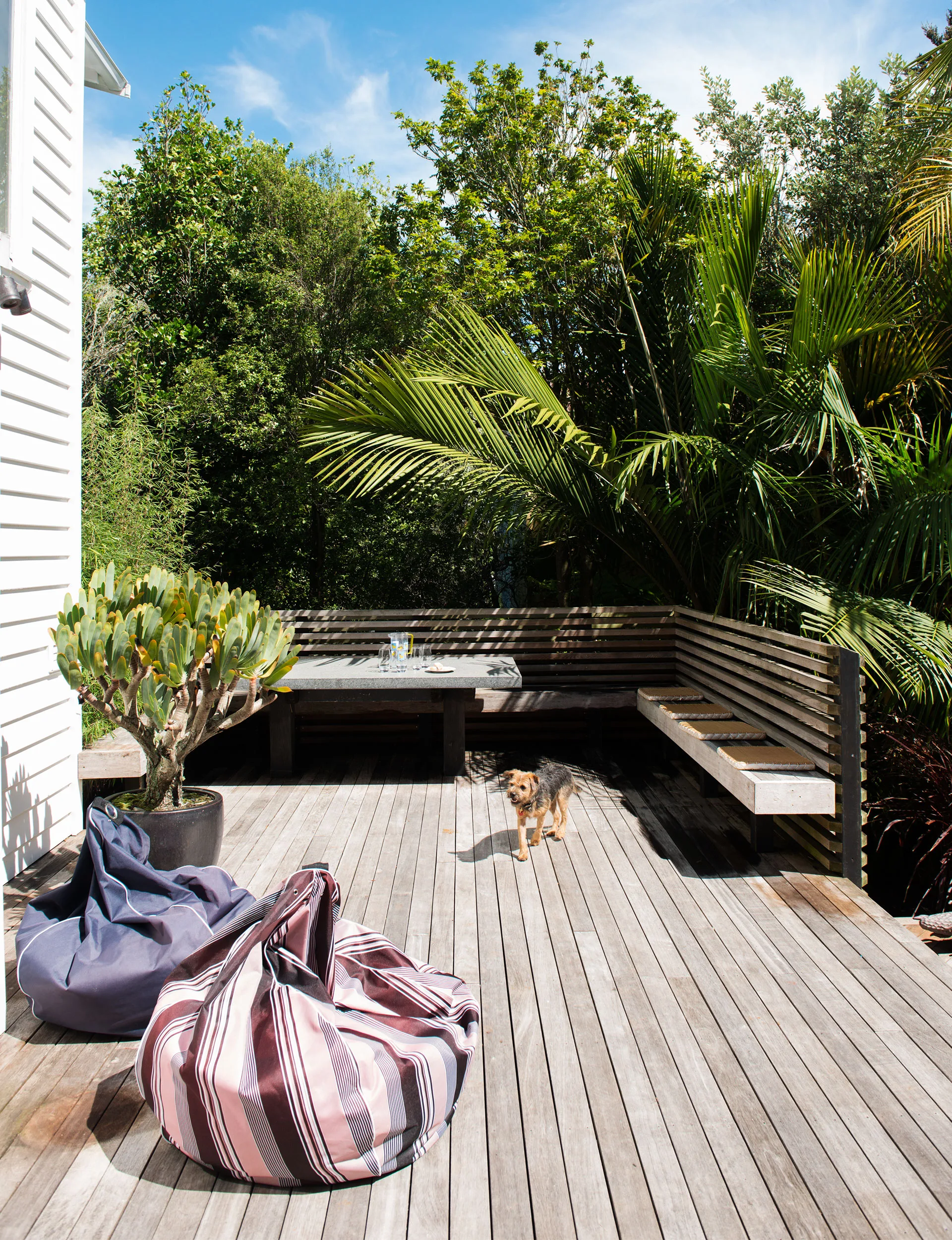 No_Lawn_Garden_4