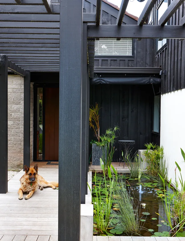 Lily pond, front door entrance