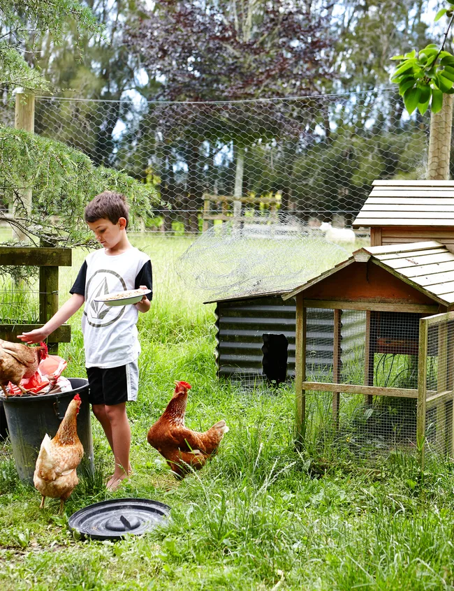 Country lifestyle
