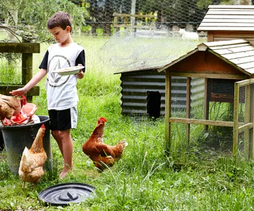 Country lifestyle