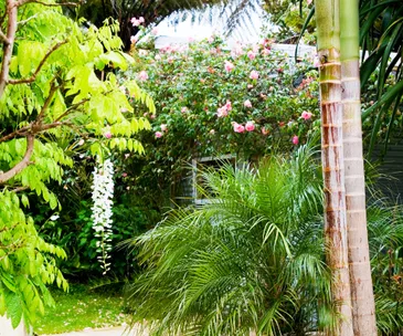 Behind the lens of a garden photographer