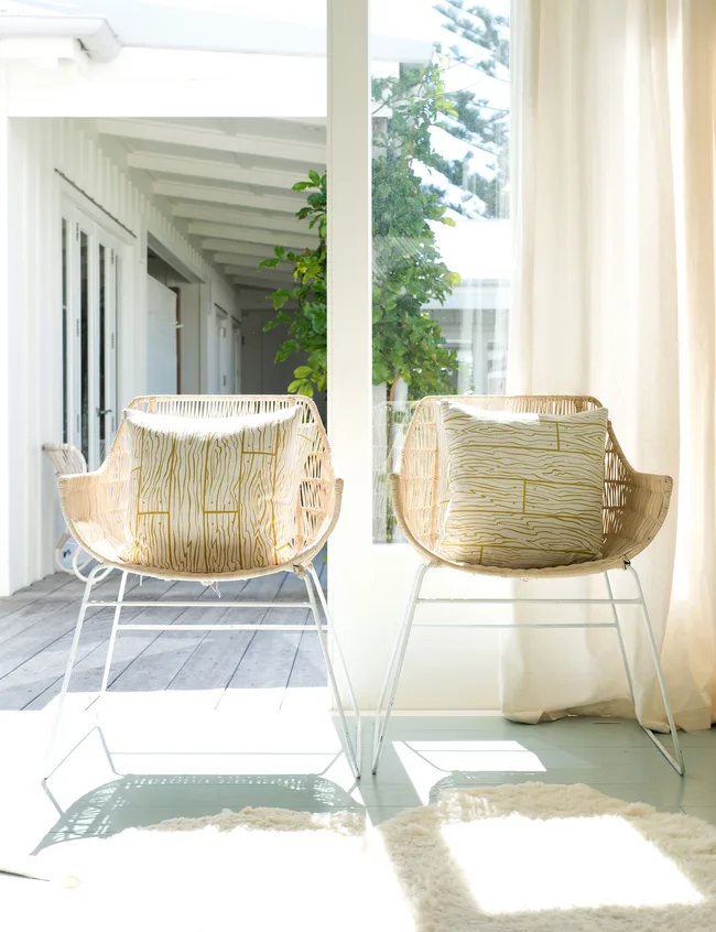 Dick Frizzell cushions