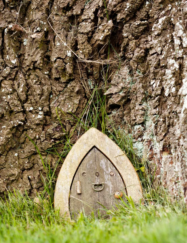 Lily&rsquo;s fairy door into the oak tree.