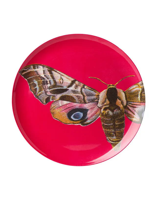 Plate, $24 from Tuberose.