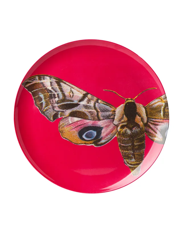 Plate, $24 from Tuberose.