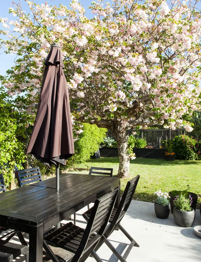 Then & Now: Rachael and Jeff&rsquo;s Home
