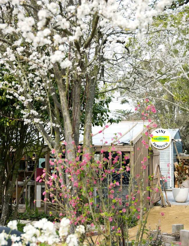 Rustic revival