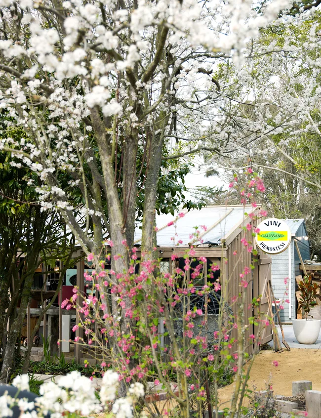 Rustic revival