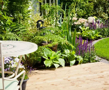 What to harvest, plant and sow in the garden during July