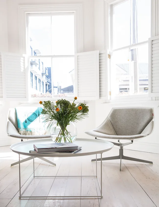 white window panes and shutters