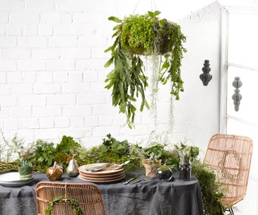 Christmas theme, nature, folliage, table garland