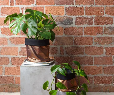 DIY, fabric plant holders