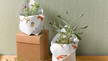 wrapping paper, DIY, pot plant, Christmas