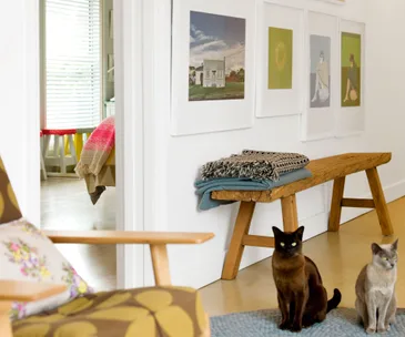 Burmese cats, art wall