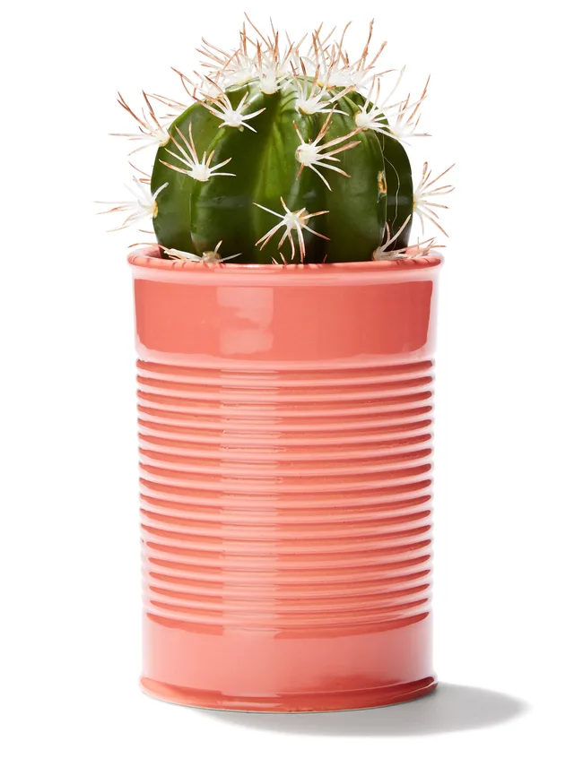 Tin cactus in watermelon, $8, from Kmart.