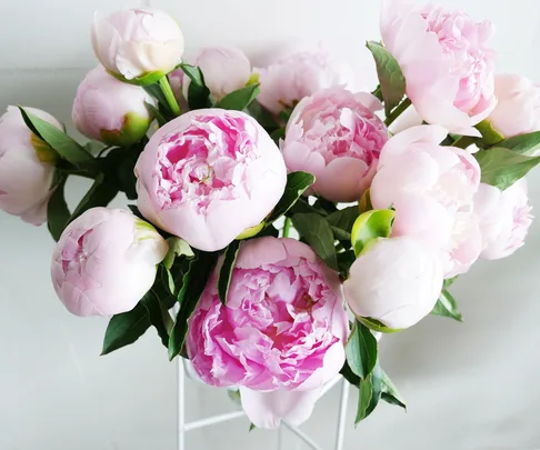 peonies, The Botanist, pink peonies